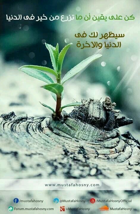 ASENAT