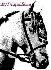 MTEquidoma's profile picture. M.T Equidoma monitrice d'équitation indépendante  et Praticienne reiki en auto-entreprise,dans le Gard