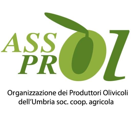 Organizzazione dei produttori Olivicoli dell’Umbria nasce con l’intento di tutelare la qualità dell’olio extravergine umbro