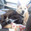 Katelyn Floyd - @Katelyn_Floyd11 - Twitter