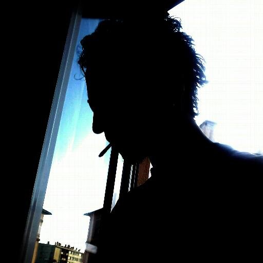 Président à React Mag (Webzine Culturel Lyonnais), Journaliste à La Grosse Radio Métal, guitariste dans le groupe Inflicted Harmony