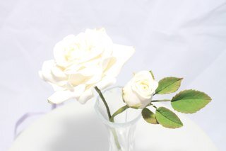 The celebration boutique is event planning and decor business run by husband and wife team Gen and Phil.

Sister company is la cocoa couture - cakes :)