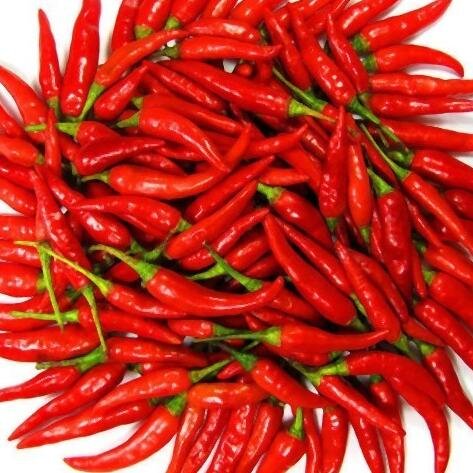 New Discovery show about EXTREMELY hot food from all types of cuisine. Currently casting for a Caribbean episode. We want to hear from you! tkent@mentorn.tv