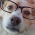 Will Tice (@freed_will) Twitter profile photo Will Tice (@freed_will) Twitter profile photo