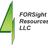 FORSight Resources