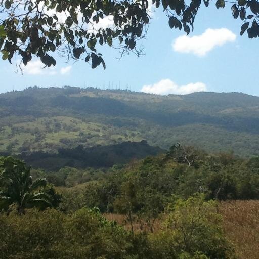 RaulLidera17's profile picture. Agradecido con Dios. Apolítico. Santeño hasta el tuetano, amante de béisbol con suma pasión.