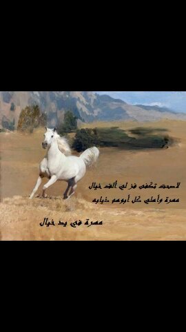 ‏‏‏‏‏اقسم لاااحد اكتمل في عيني كما اكتملت انت (ياابي) حسابي السابق هو163333333@