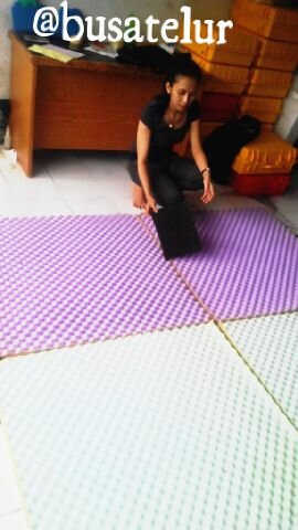 Busa Telur dpt difungsikan sebagai peredam ruangan/ sebagai Acoustik Control pada ruang Audio untuk studio musik,home theater,karaoke,recording dll