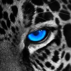 Multipolarjob's profile picture. Multipolar Technology is a leading IT Systems Integrator in Indonesia