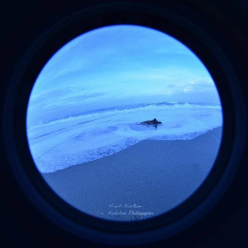 FreeAnatolian's profile picture. https://t.co/SUZ7jdfMUc  http://t.co/ek3W0SYeB4