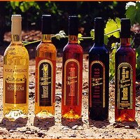 Domaine de Rombeau (@domainerombeau) 's Twitter Profile