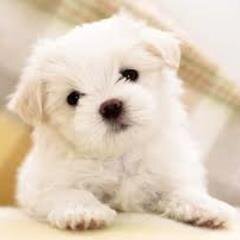 sailergal7's profile picture. 