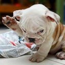 Erika Kern - @ErikaKern1 - Twitter