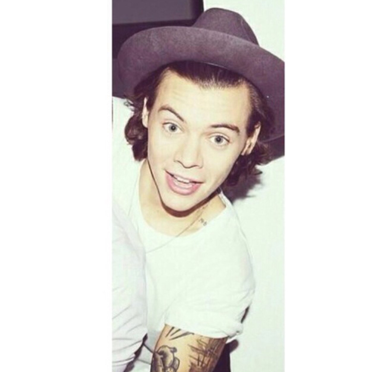 Free follow from @DAYUMNHAROLD