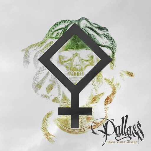 We are PALLASS, Beatdown Hardcore band from BORDEAUX FRANCE
