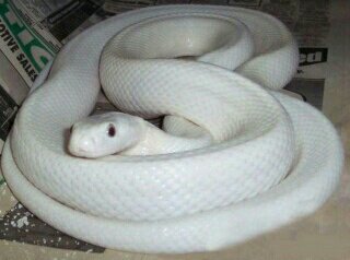 jun20706's profile picture. 