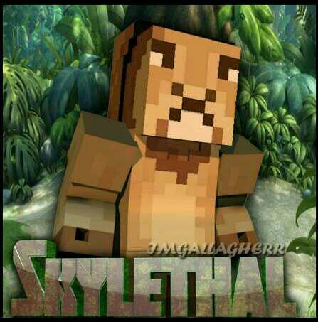 Hello guys its LionCub here! My old account @Sky_Gaming360 got hacked so this is my new account!