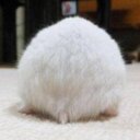 神様 (@0513Oniemon) Twitter
