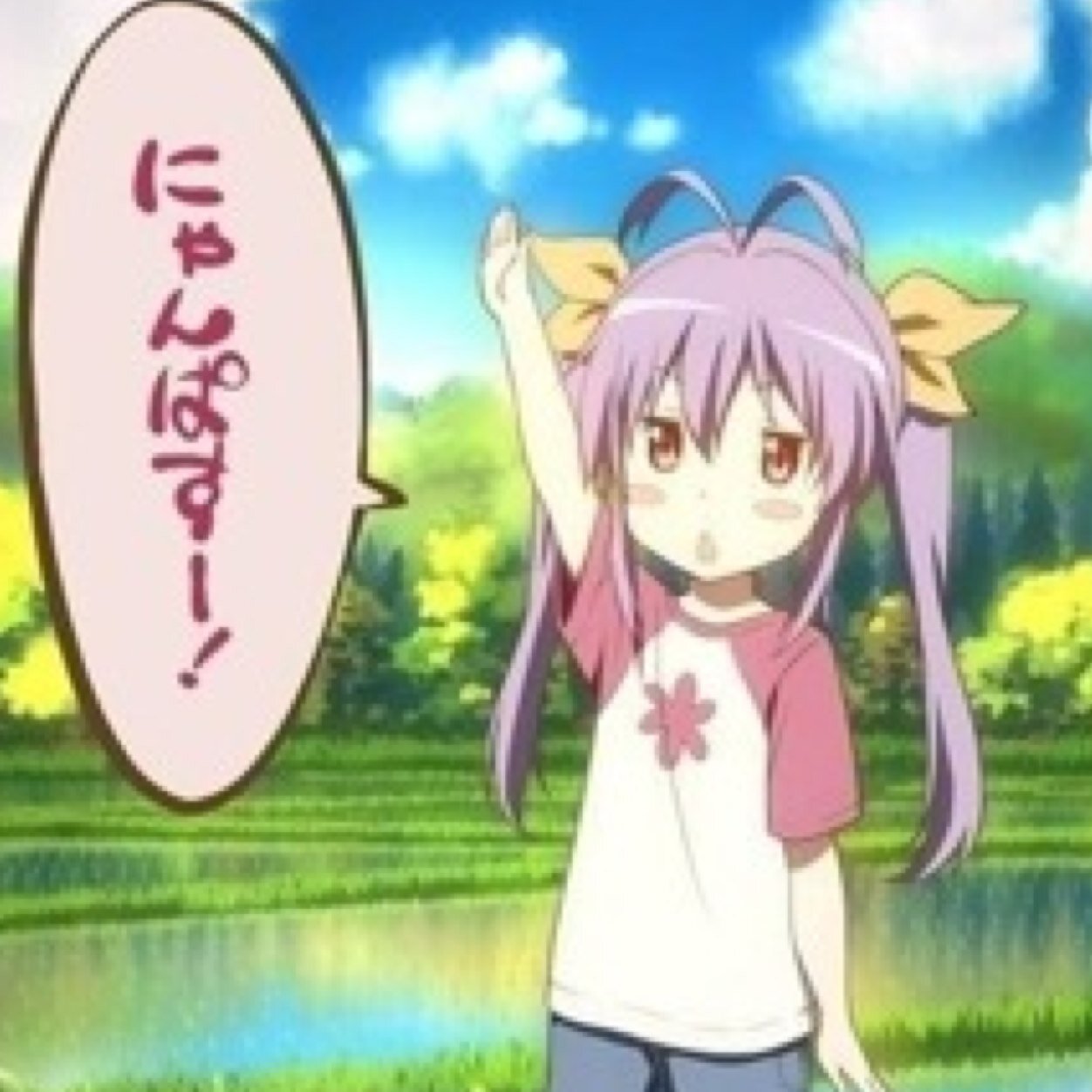 ツイプロとか晒せない