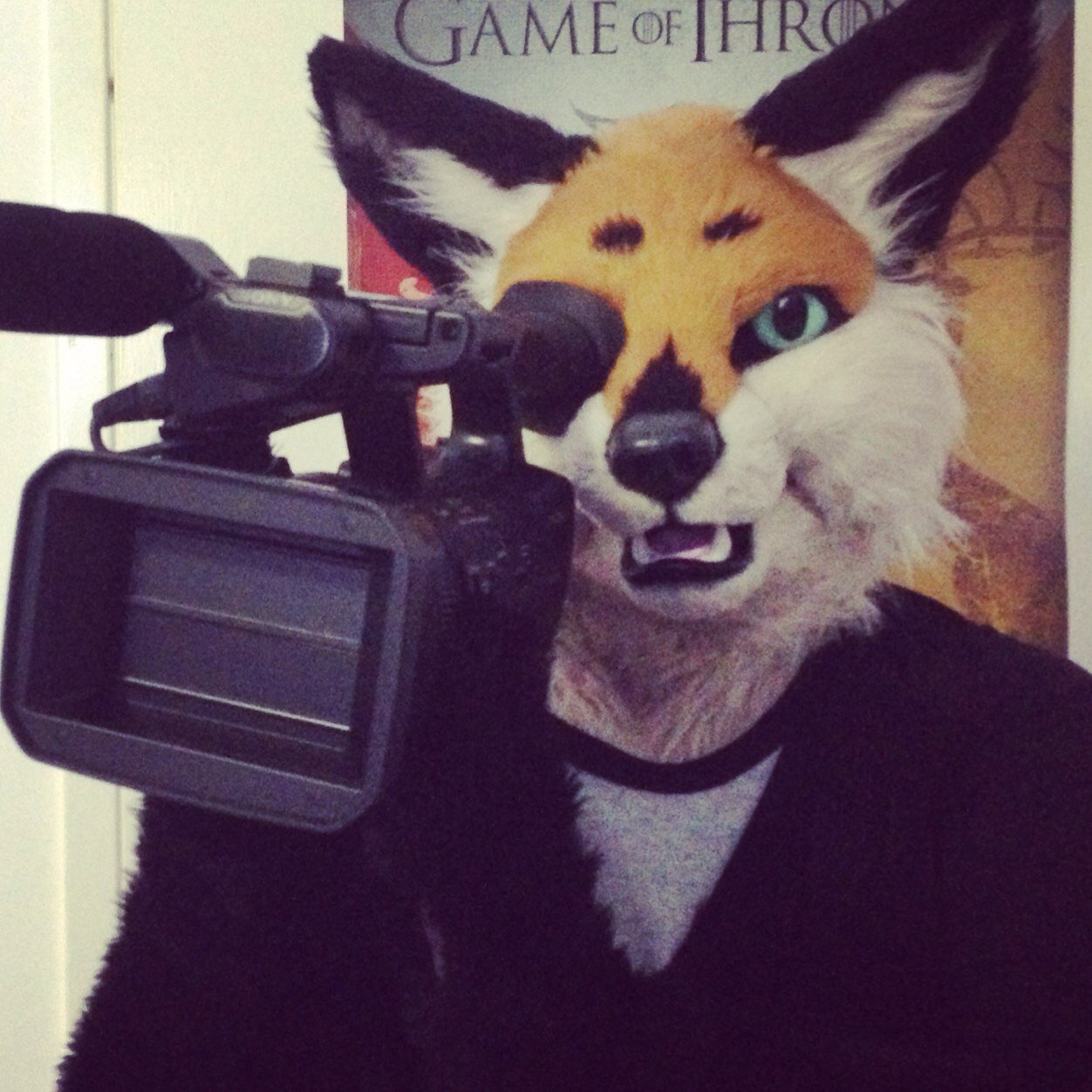 Trillian Baebrook the Fangirl fox :)