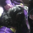 caio anjos  - @caiobarbosaanjo - Twitter