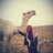 al_maner's profile image