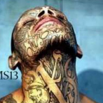 britainbox's profile image
