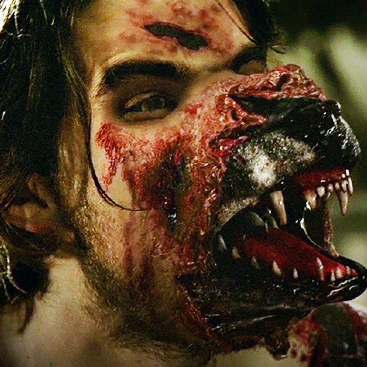 Werewolf is pretty racist, I prefer sexy man beast. @TwistedUpir is my best friend. #Romancek. @TheSacredWhore is my cousin. [Hemlock Grove RP AU 21+]
