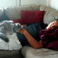 Mark Engler (@markengler) 's Twitter Profile