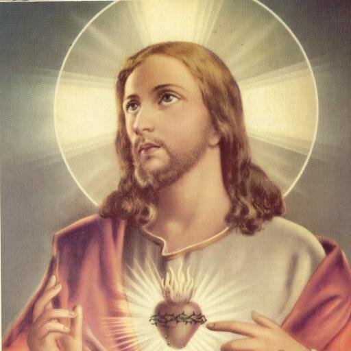 Twitter feito para levar a boa nova que é Jesus Cristo,  Siga-nos, A Paz !