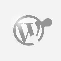 Hablamos sobre Wordpress. Y si necesitas soporte o ayuda en tu proyecto web, somos expertos :)