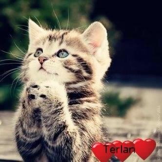 Yalniz bu hayatda gülümse :):)