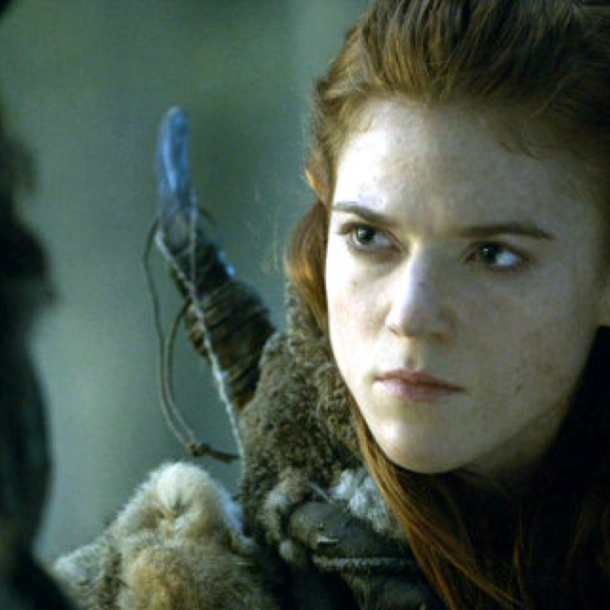 alteregoya's profile picture. Never say never