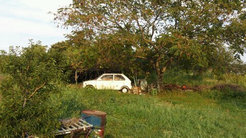 石川県民になりました。まだまだ無知識でありますが車、草ヒロ大好物です。草ヒロ写真館ですが現役車(主に働くクルマ)も頻繁に登場します。
※敷地内での撮影は全て許可を取っております。また、所在地に関する質問はお断りします。