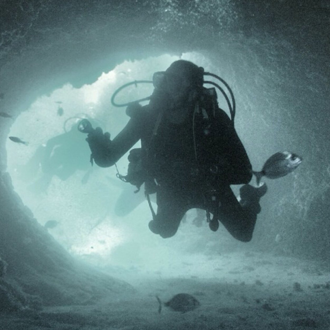 josemartinezna's profile picture. 