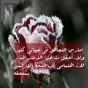FOFO_777 (@5d92d4ccd14640b) Twitter