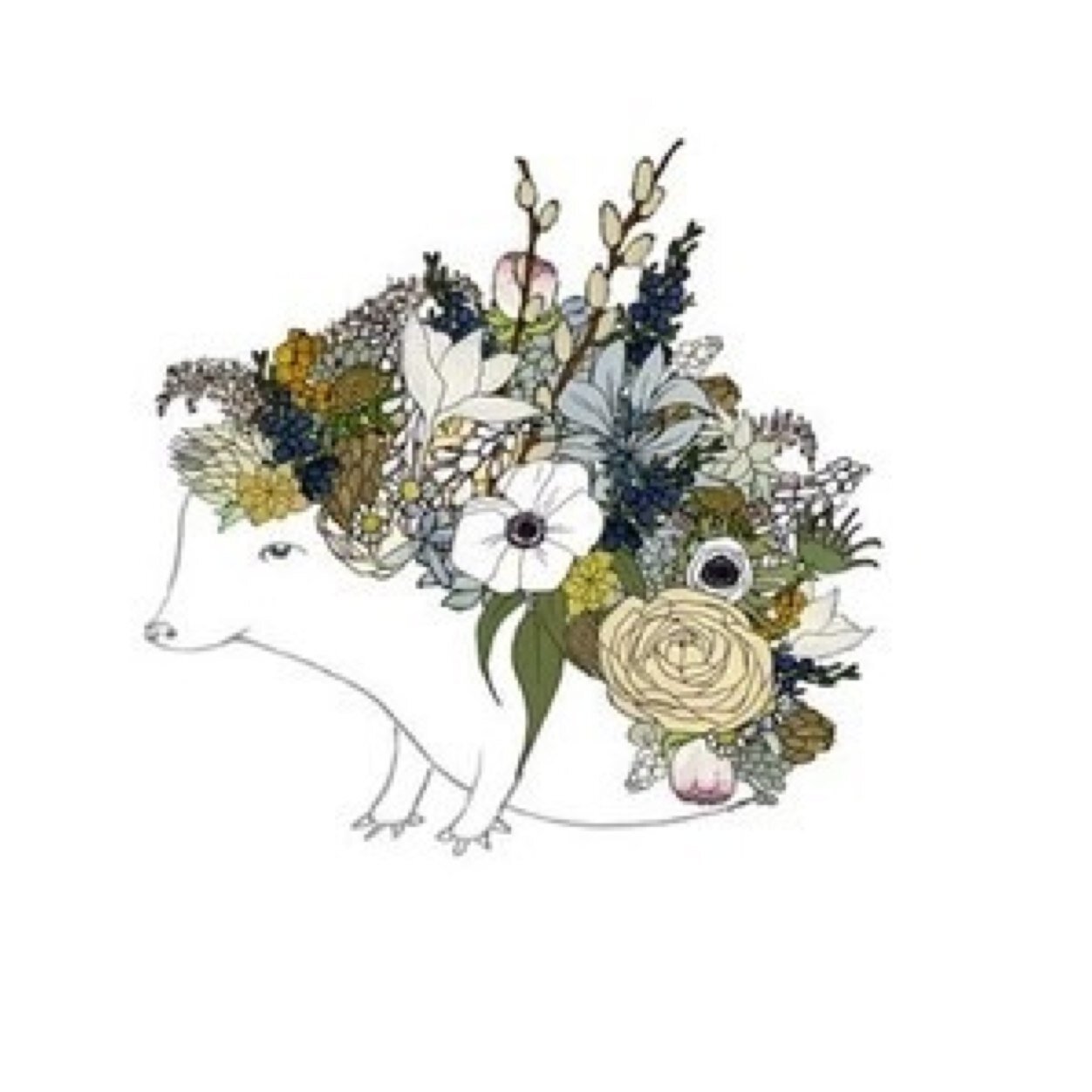 cutiehedgehog's profile picture. u r a q t