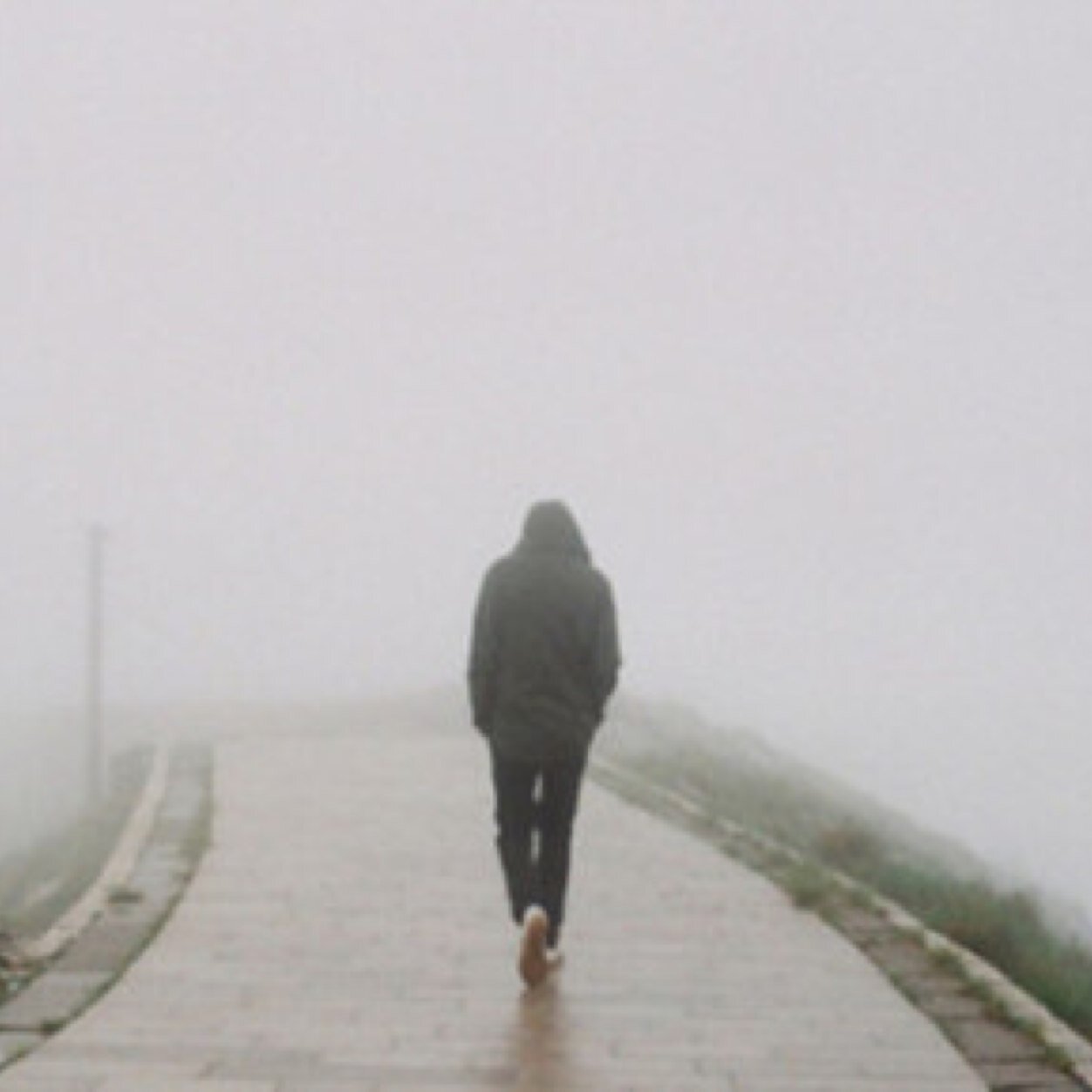 tianshanmuxue's profile picture. 