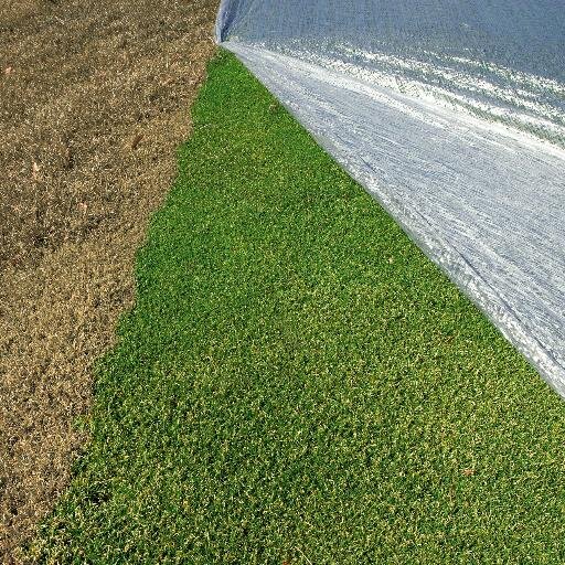 Manufactures of North American Made turf covers for over 30 years. Evergreen Turf Covers, the standard of the industry for all types of playing surfaces.