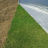 EvergreenTurfCovers (@evergreencover) 's Twitter Profile