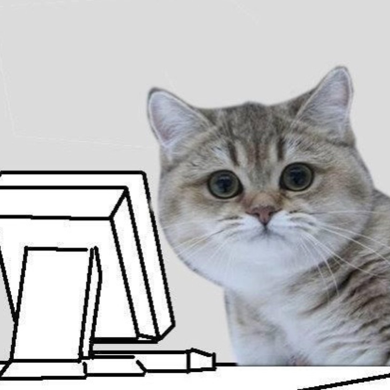 YungBugati's profile picture. NEW SINGLE OUT NOW!! http://t.co/KDKEOIcTNs