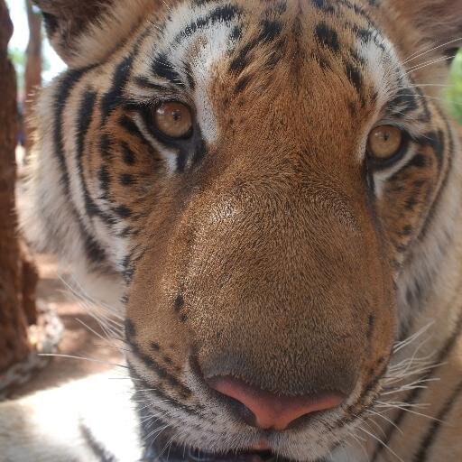 Jeremylippebb's profile picture. 