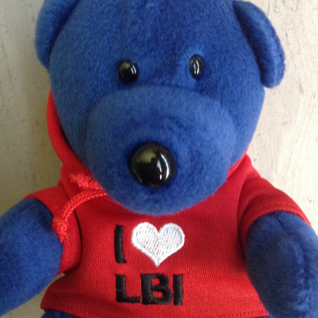 Follow Bernie The LBI Bear along one of the most beloved islands along the Jersey Shore,Long Beach Island. Can you guess where Bernie The LBI Bear will be next?