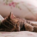 Jane - @PearlWu28 - Twitter