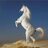 jamalalhijji's profile image