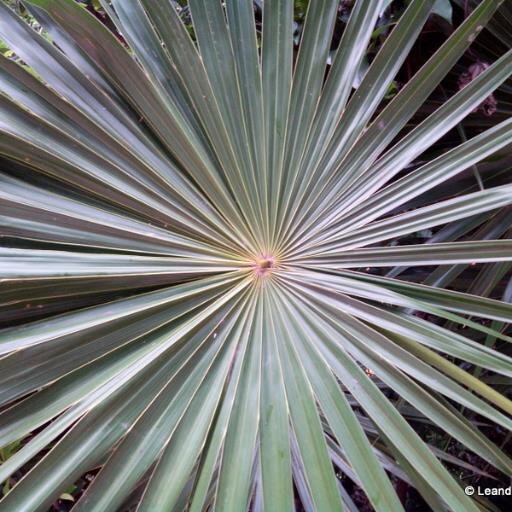 landercr's profile picture. 