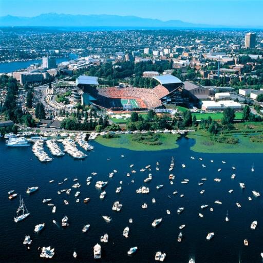 Work @google | Live in LA | Sports Fanatic | Tech Enthusiast | Taco Connoisseur |