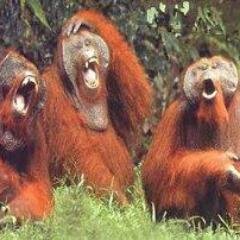 Anthony9251's profile picture. 