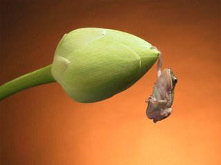 You need to hang tough !