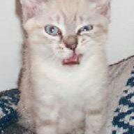 FloamyMagee's profile picture. A little of this and a little of that.